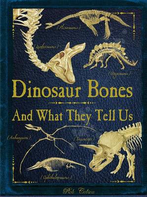 Book cover for Dinosaur Bones