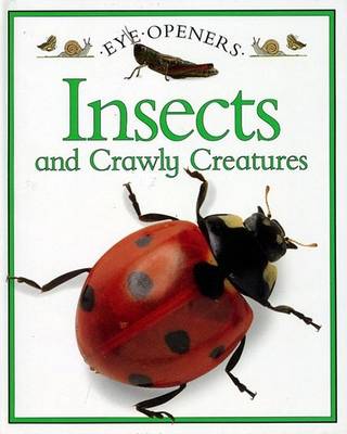 Book cover for Insects and Crawly Creatures