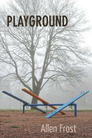 Cover of Playground