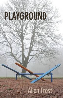 Book cover for Playground