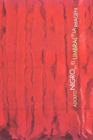 Cover of Adolfo Nigro En El Umbral de La Imagen