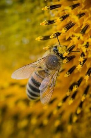 Cover of A Bee on a Sunflower in the Light of the Sun