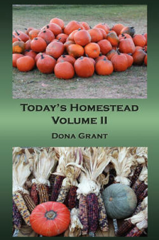 Cover of Today's Homestead Volume II