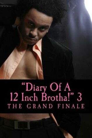 Cover of Diary of a 12 Inch Brotha! 3