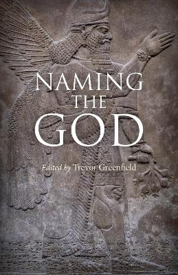 Book cover for Naming the God