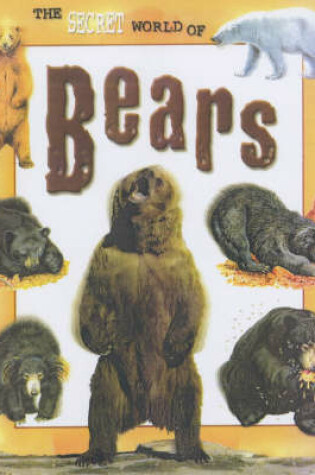 Cover of Bears