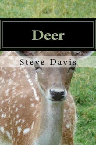 Cover of Deer