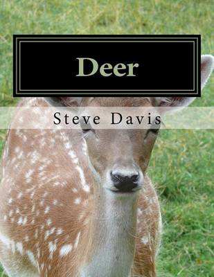 Book cover for Deer