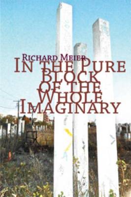 Book cover for In the Pure Block of the Pure Imaginery