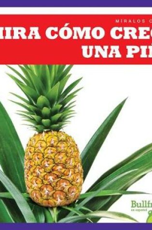 Cover of Mira Cómo Crece Una Piña (Watch a Pineapple Grow)