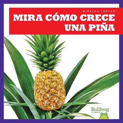 Book cover for Mira Cómo Crece Una Piña (Watch a Pineapple Grow)