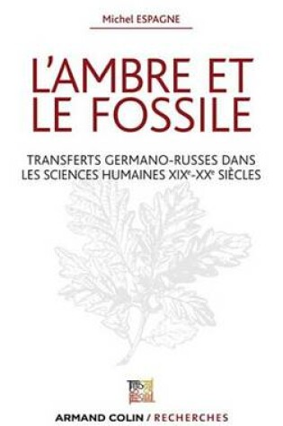 Cover of L'Ambre Et Le Fossile - Transferts Germano-Russes Dans Les Sciences Humaines Xixe-Xxe
