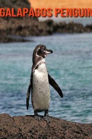 Cover of Galapagos Penguin