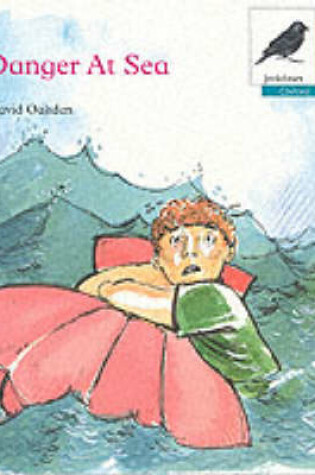 Cover of Danger at Sea