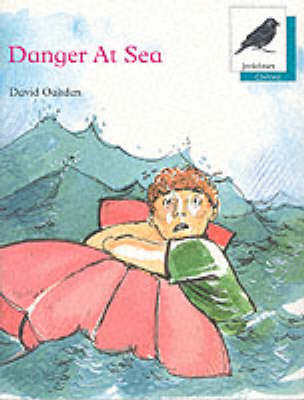 Cover of Danger at Sea