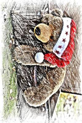 Book cover for A Teddy Bear in a Christmas Hat