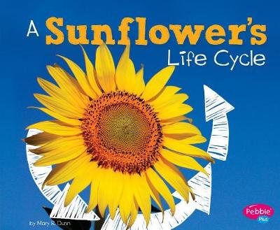 Book cover for A Sunflowers Life Cycle (Explore Life Cycles)