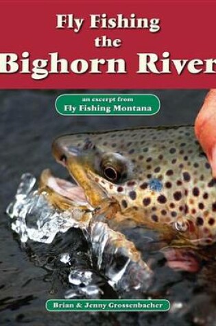 Cover of Fly Fishing the Bighorn River