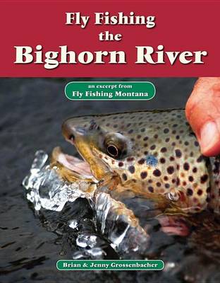 Cover of Fly Fishing the Bighorn River