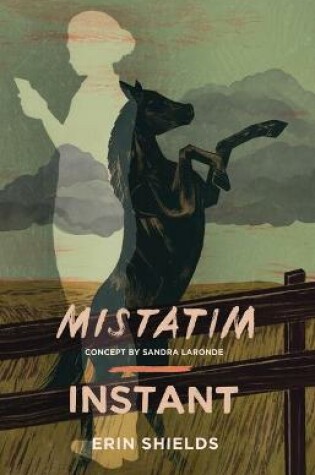 Cover of Mistatim / Instant