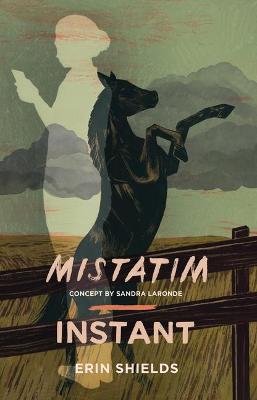 Book cover for Mistatim / Instant