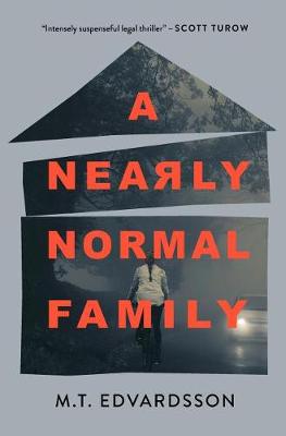 Book cover for Nearly Normal Family