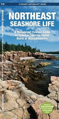 Book cover for Northeast Seashore Life