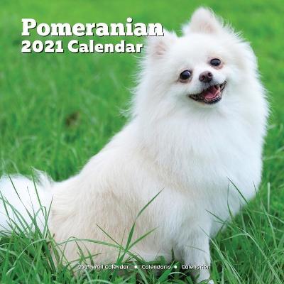 Book cover for Pomeranian Calendar 2021