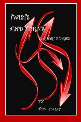 Book cover for Twists and Turns