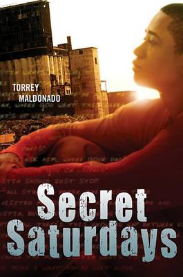 Cover of Secret Saturdays