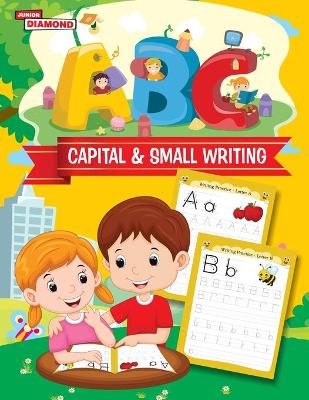 Book cover for Capital & Small Writing Activity