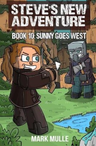 Cover of Steve's New Adventure Book 10