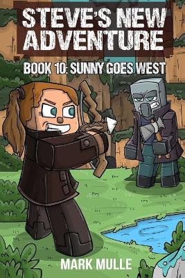 Book cover for Steve's New Adventure Book 10