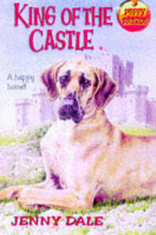 Cover of King of the Castle