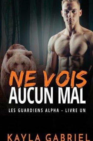 Cover of Ne vois aucun mal