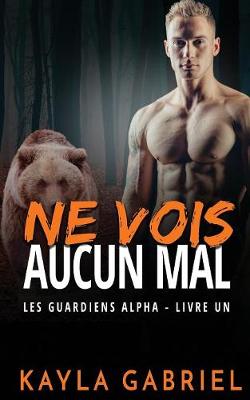 Cover of Ne vois aucun mal