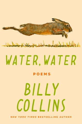 Cover of Water, Water