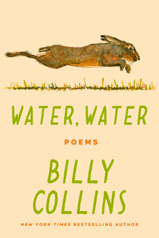 Book cover for Water, Water