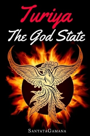 Cover of Turiya - The God State