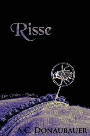 Cover of Risse