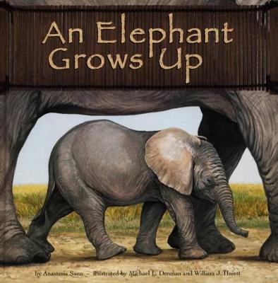 Book cover for An Elephant Grows Up