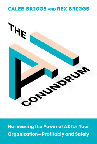 Book cover for The AI Conundrum