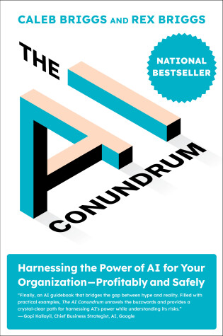 Cover of The AI Conundrum