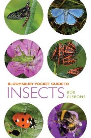 Cover of Pocket Guide to Insects