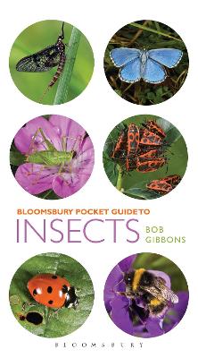 Book cover for Pocket Guide to Insects