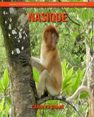Book cover for Nasique