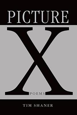 Book cover for Picture X