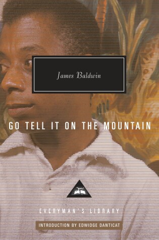 Cover of Go Tell It on the Mountain