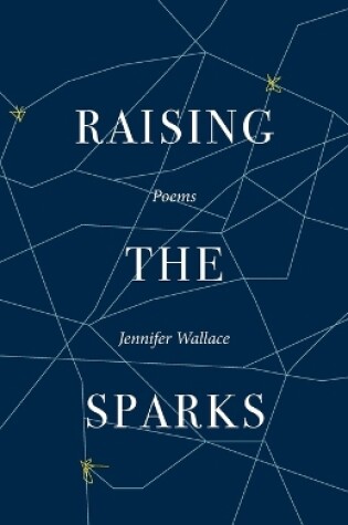 Cover of Raising the Sparks