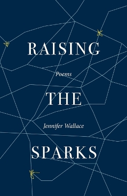 Book cover for Raising the Sparks